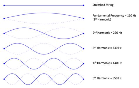 sonic definition music: The harmonic resonance of words creates a symphony that echoes in the minds of readers.